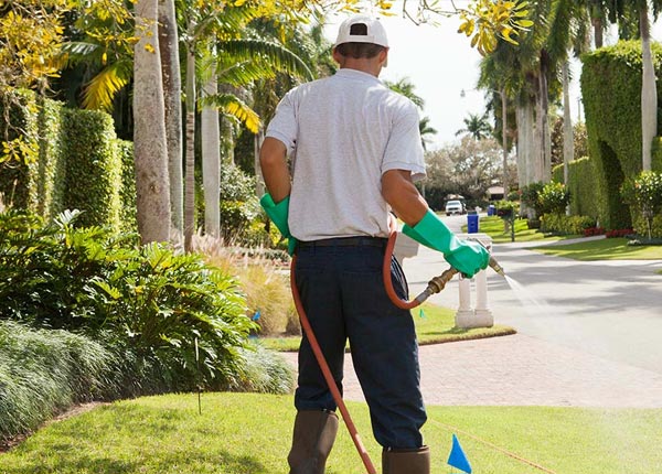 About Spearfish SD Pest Control